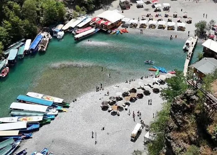 Artjoni 2026 * Tropoje